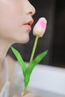 不朽的园丁